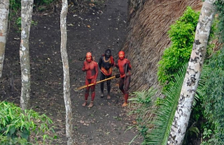 Illustration for article titled Never Before Seen Amazon Tribe Photographed for the First Time (Updated)